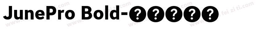 JunePro Bold字体转换